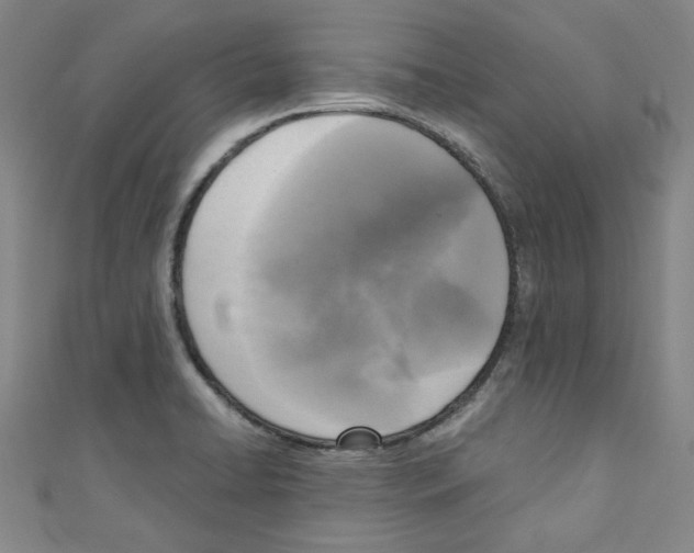 X0000110321422200907021152