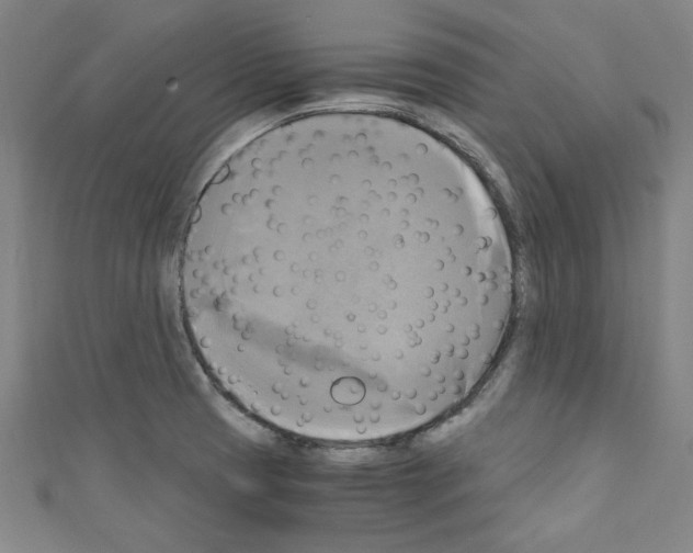 X0000110321425200907021152