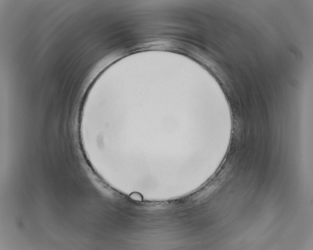 X0000110321426200907021152