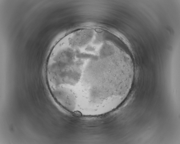 X0000110321429200907021152