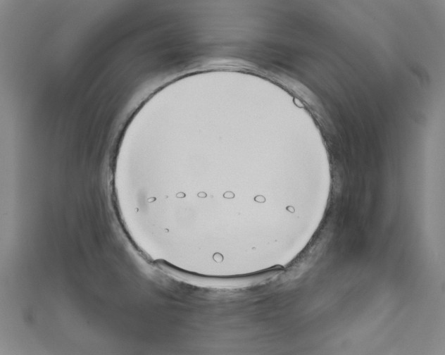 X0000110321430200907021152