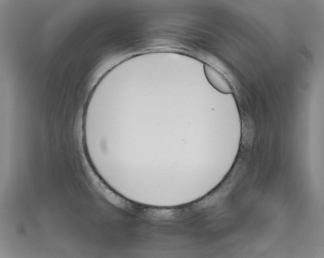 X0000110321431200907021152