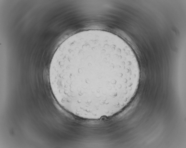 X0000110321433200907021152