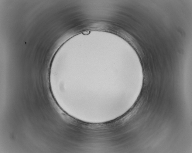 X0000110321434200907021152