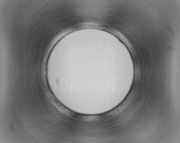 X0000110321435200907021152