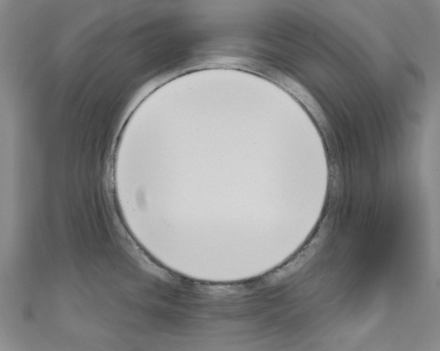 X0000110321436200907021152