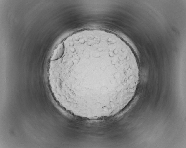 X0000110321437200907021152