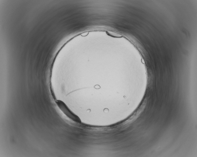 X0000110321438200907021152