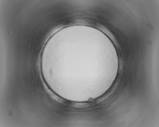 X0000110321439200907021152