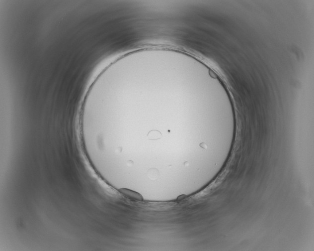 X0000110321440200907021152