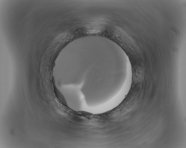 X0000110321441200907021151