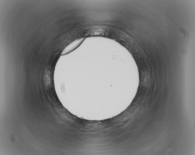 X0000110321442200907021151