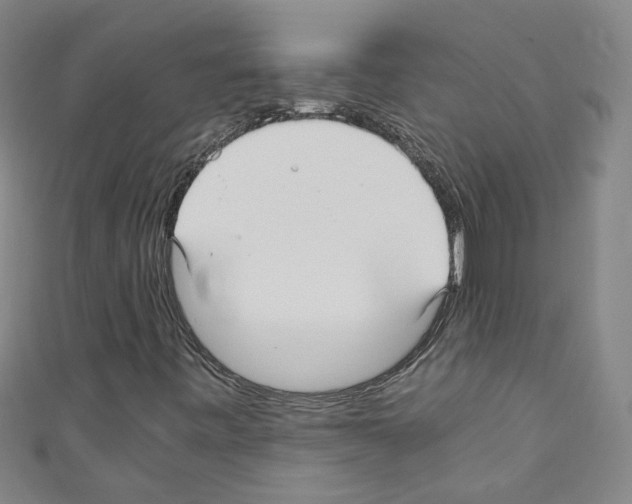 X0000110321443200907021151