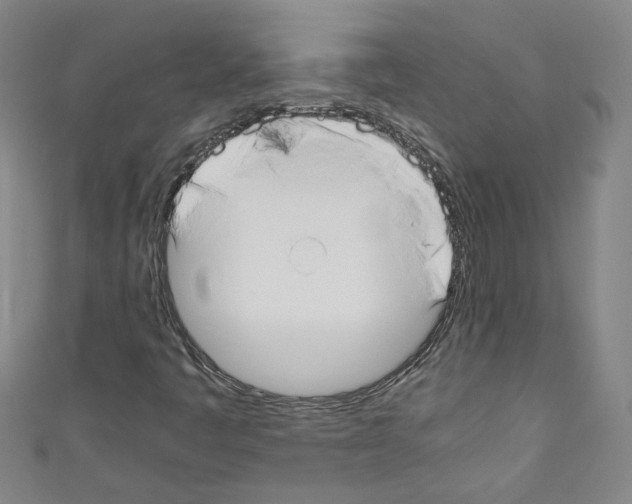 X0000110321445200907021151