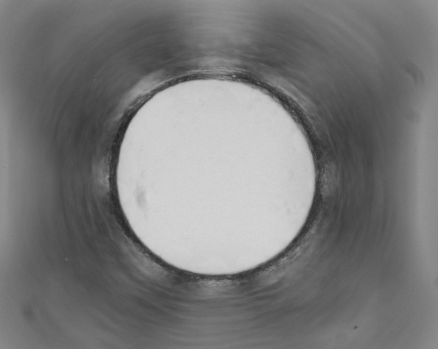 X0000110321451200907021151