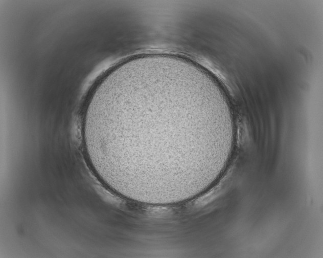 X0000110321454200907021151