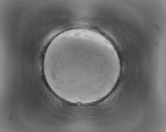 X0000110321455200907021151