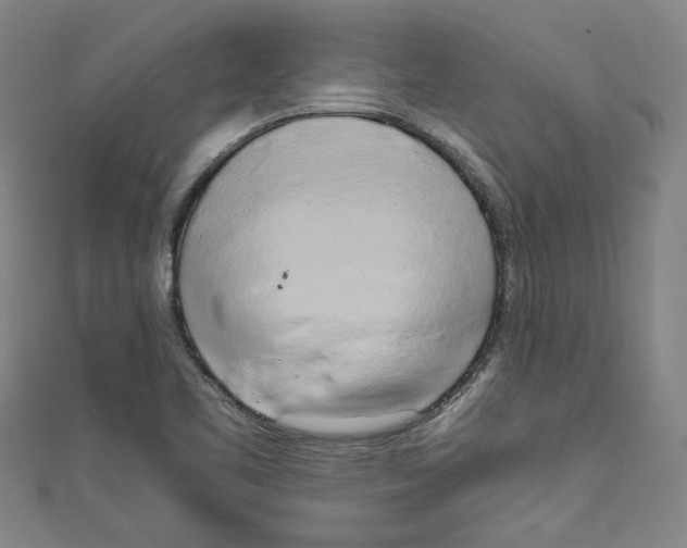 X0000110321461200907021151