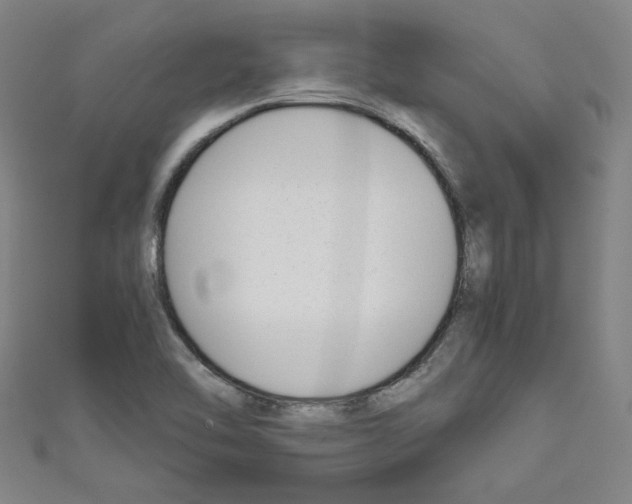 X0000110321462200907021151