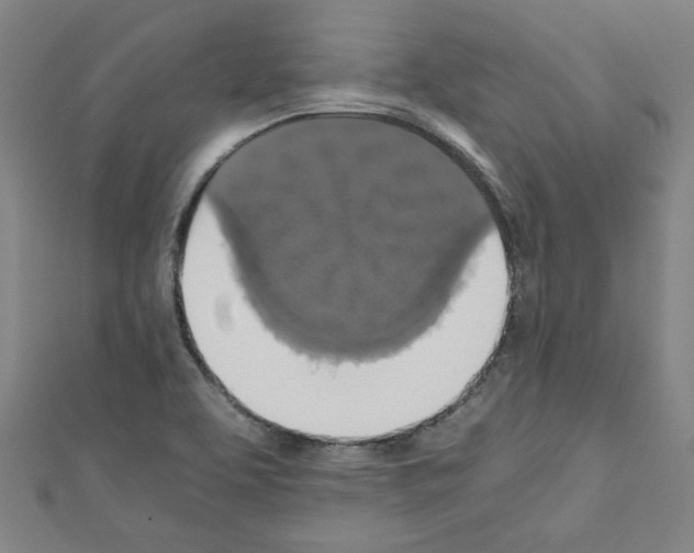 X0000110321463200907021151