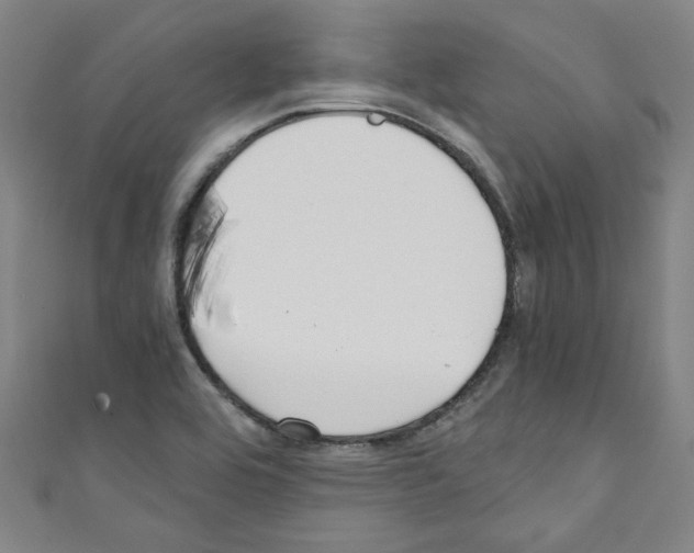 X0000110321464200907021151