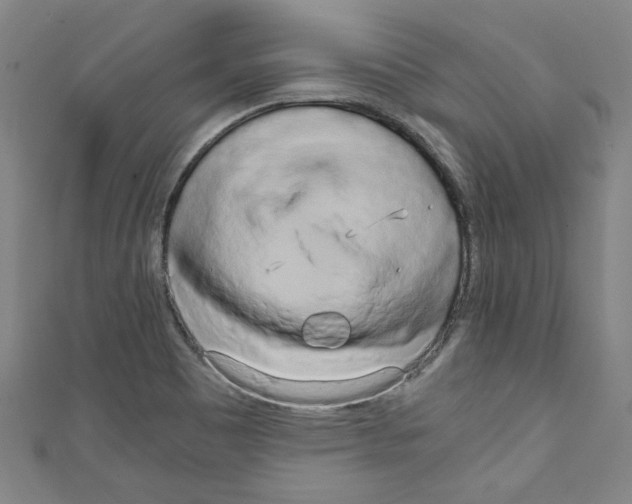 X0000110321465200907021151