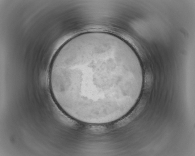 X0000110321466200907021151