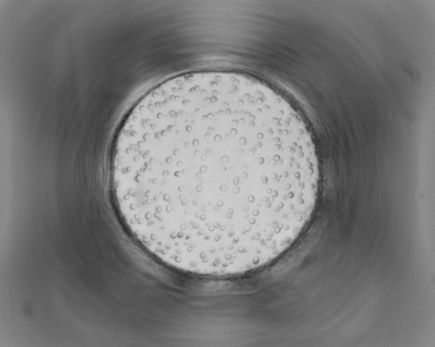 X0000110321467200907021151