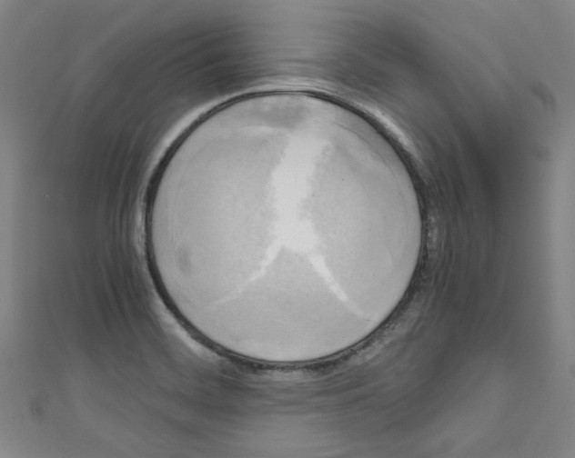 X0000110321468200907021151