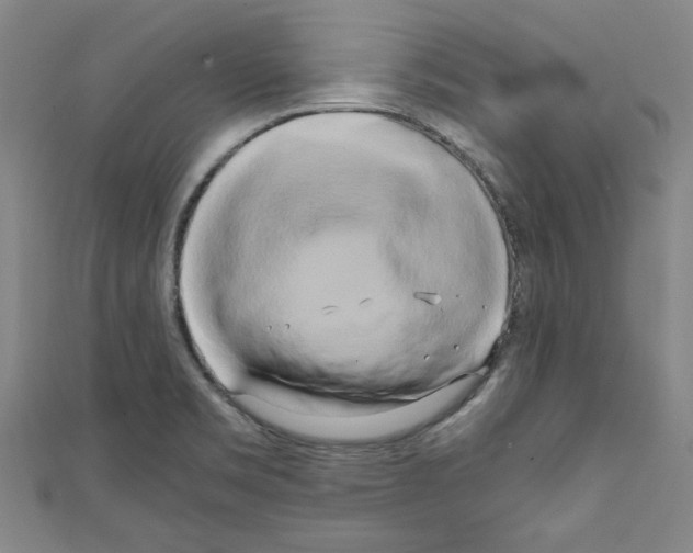 X0000110321469200907021151