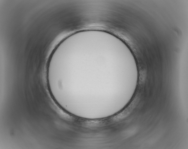 X0000110321470200907021151