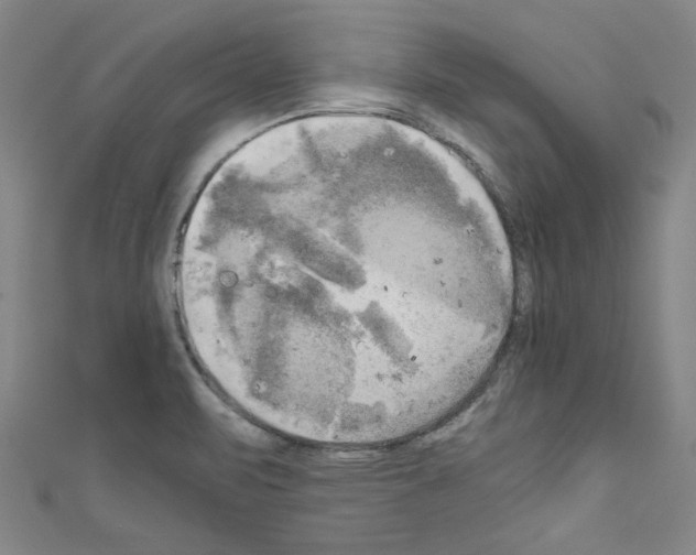 X0000110321471200907021151