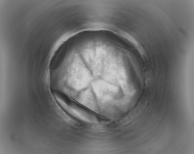 X0000110321472200907021151