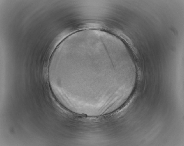 X0000110321473200907021151