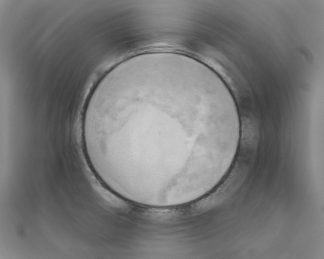 X0000110321474200907021151