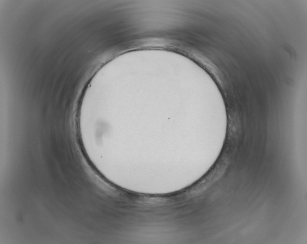 X0000110321475200907021151