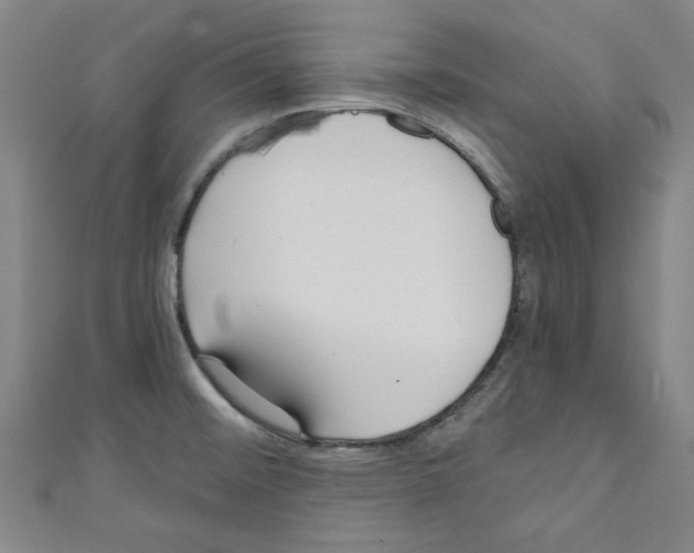 X0000110321476200907021151