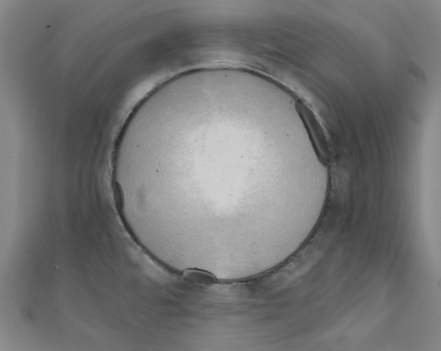 X0000110321480200907021151