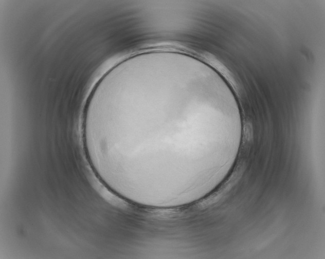 X0000110321482200907021151