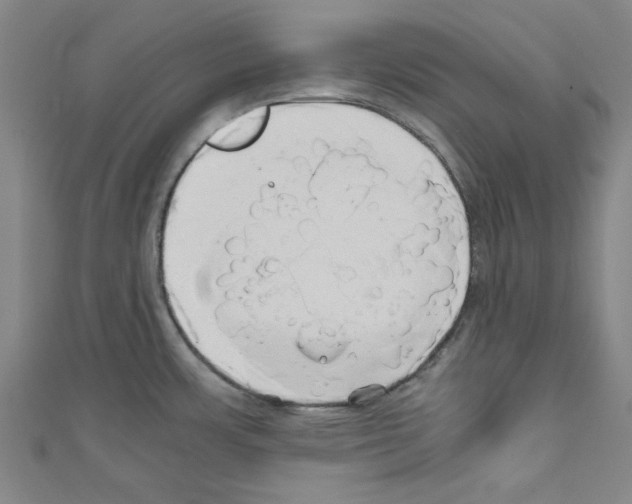 X0000110321483200907021151