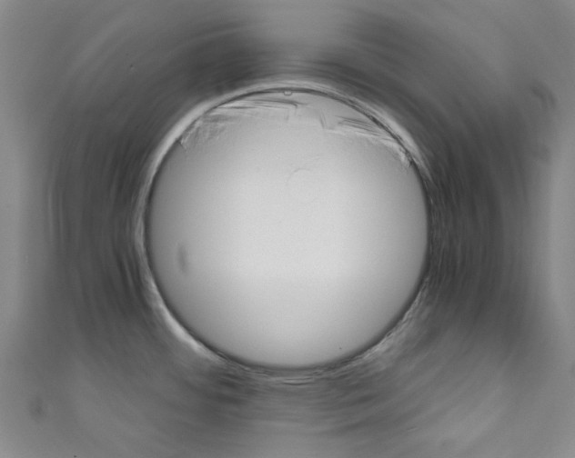 X0000110321484200907021151