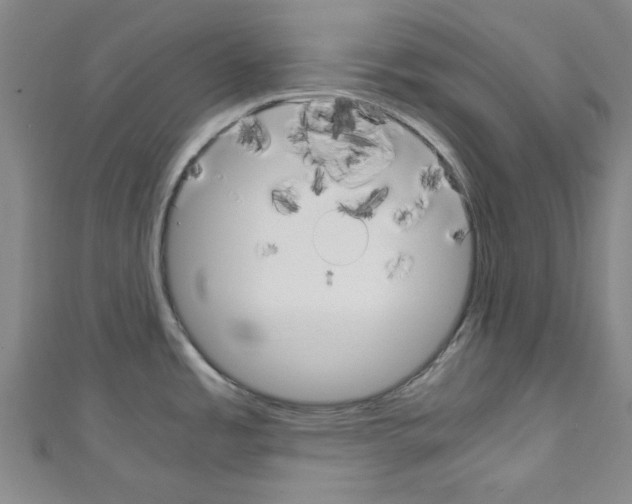 X0000110321485200907021151