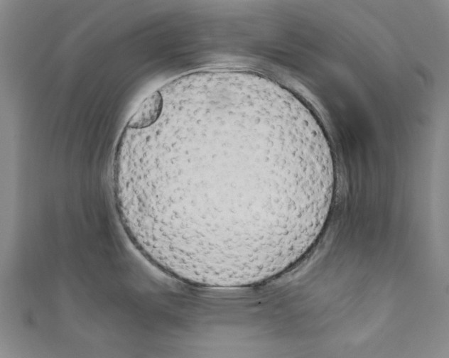 X0000110321487200907021151