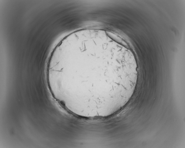 X0000110321488200907021151