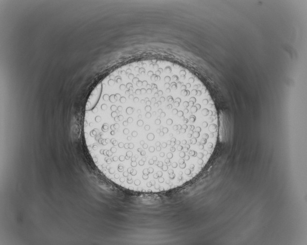 X0000110321491200907021150