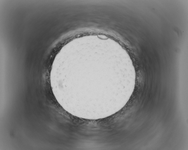 X0000110321495200907021150