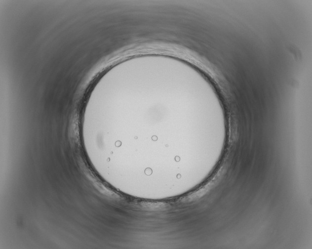 X0000110321498200907021150