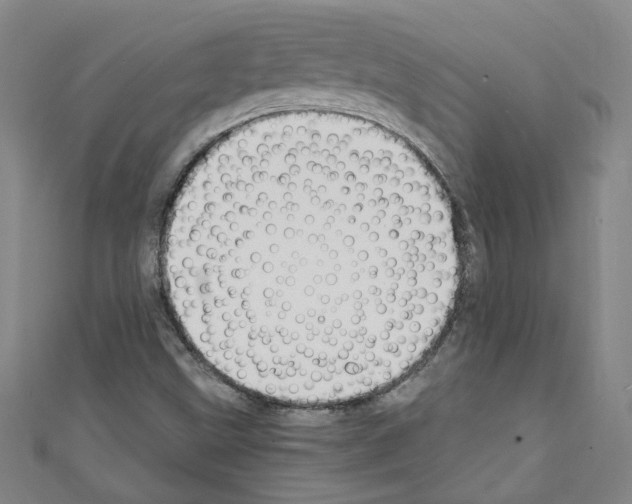 X0000110321499200907021150