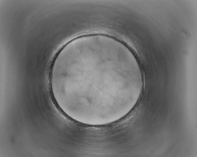 X0000110321500200907021150