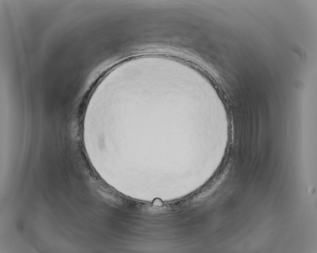 X0000110321501200907021150